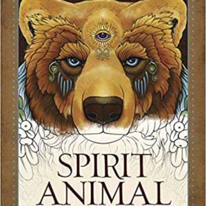 Spirit Animal coloring book by Ravynne Phelan's