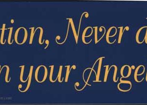 Caution, Never Drive Faster Than Your Angel Can Fly