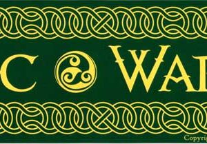 Celtic Warrior bumper sticker