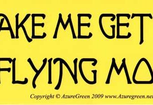 Don't Make Me Get Out My Flying Monkeys bumper sticker