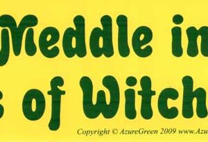 Do Not Meddle in the Affairs of Witches bumper sticker