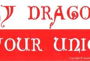 My Dragon Can Take Your Unicorn bumper sticker