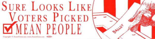 Sure Looks Like Voters Picked Mean People bumper sticker