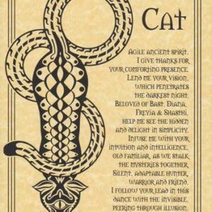 Cat Prayer poster