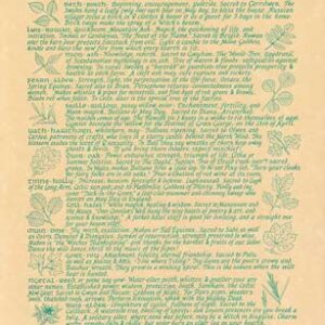 Celtic Trees poster