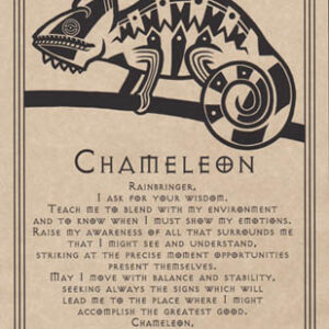 Chameleon Prayer poster