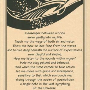 Dolphin poster