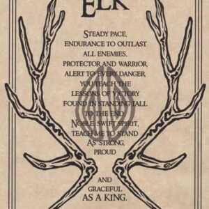 Elk Prayer poster