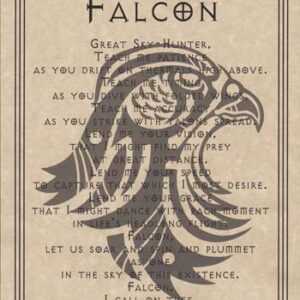 Falcon Prayer poster