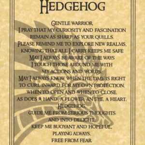 Hedgehog Prayer poster