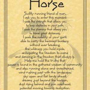 Horse Prayer poster