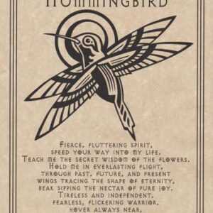 Hummingbird Prayer poster