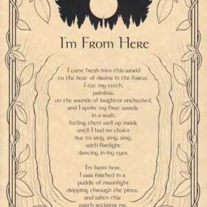 I'm From Here poster