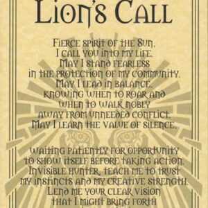 Lion Prayer poster