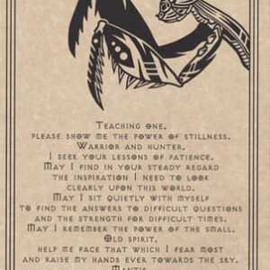 Mantis Prayer poster
