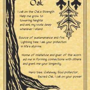 Oak poster