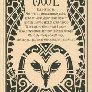 Owl poster