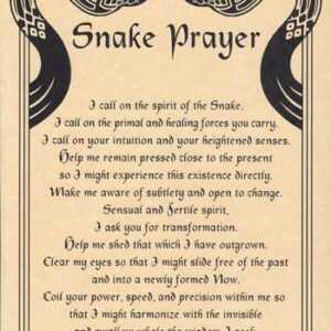 Snake Prayer poster