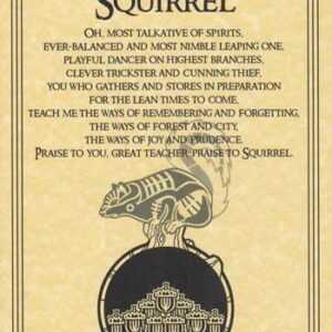 Squirrel Prayer poster