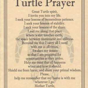 Turtle Prayer poster
