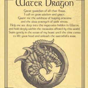 Water Dragon poster
