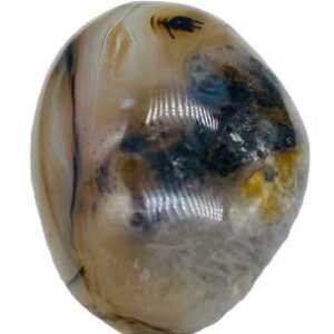 Agate, Dendritic palm stone