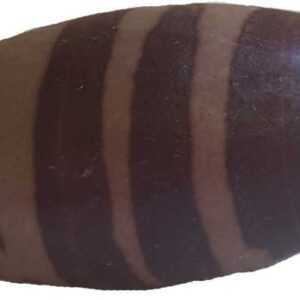 4" Shiva Lingam stone from India
