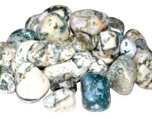 1 lb Agate, Tree tumbled stones
