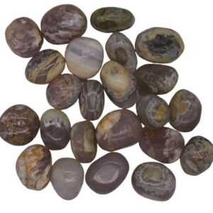 1 lb Opalized Petrified Wood tumbled stones