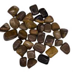 1 lb Petrified Wood tumbled stones