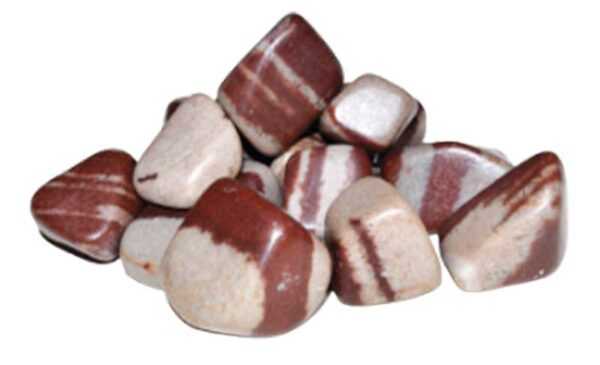 1 lb Shiva Lingam tumbled stones