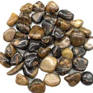 1 lb Stromatolite (onyx Brown) tumbled stones