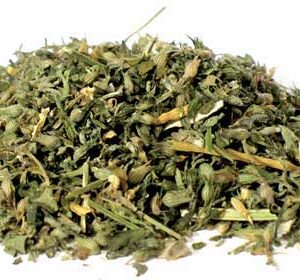 Catnip cut 1oz  (Nepeta cataria)