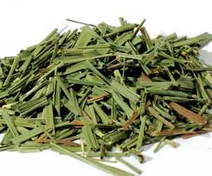 1 Lb Lemongrass cut (Cymbopogon citratus)