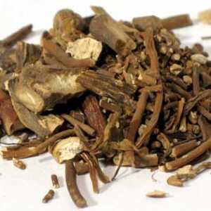 Mandrake cut 1oz (Podophyllum peltatum)