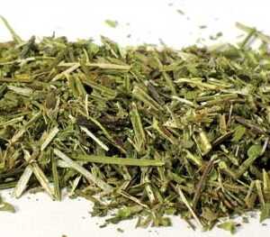 1 Lb Scullcap cut (Scutelateriflora lateriflora)