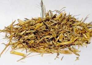 1 Lb Witches Grass cut (Agropryon repens)