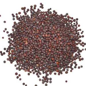 Brown Mustard Seed 1oz