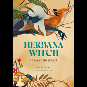 Herbana Witch by Cecilia Lattari