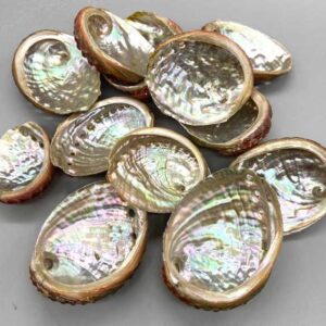 (pack of 100) 2" - 3" Abalone Shell incense burner