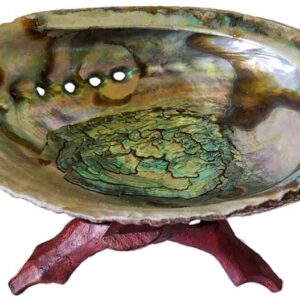 5"- 6" Abalone Shell incense burner with stand
