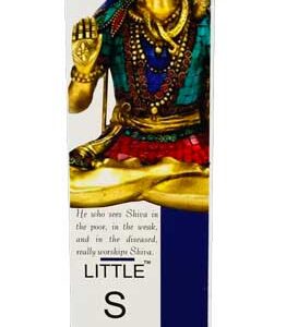 Shivaa stick 15 pack