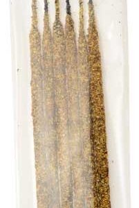 Nag Champa & Palo Santo stick 6 pack
