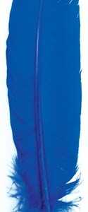 (set of 10) Blue feather 12"