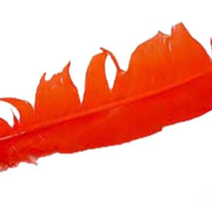 Orange feather 12"