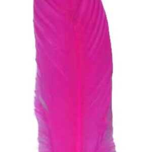 (set of 10) Pink feather 12"