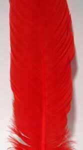 (set of 10) Red feather 12"
