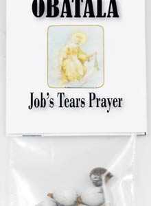 Job&apos;s Tears (seeds)