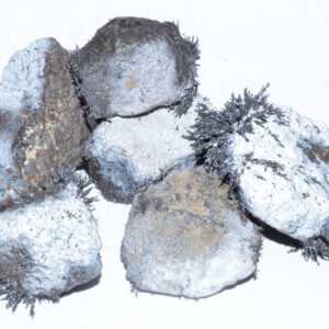 1 Lb White Lodestones