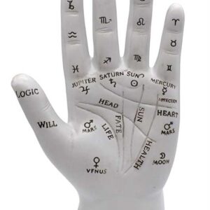 7" Palmistry Hand